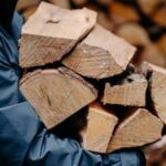 Щоби не отримати чималий штраф: українцям роз’яснили, як правильно заготовляти дрова