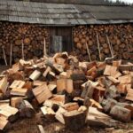 Аж до семи років позбавлення волі: на українців чекає сувора відповідальність за дрова