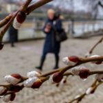 Температурні гойдалки і навіть сніг: якою буде погода в Україні в останній тиждень березня – прогноз