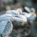 Весна візьме паузу: українців попередили про похолодання до -10 градусів