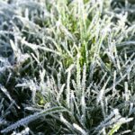 Тепло протрималось недовго: в Україну повернуться заморозки – прогноз